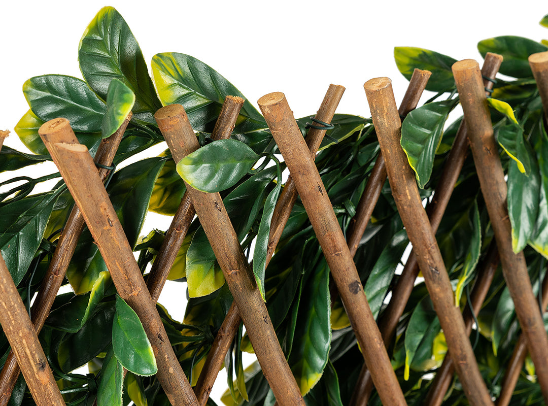 Expandable Willow Frame