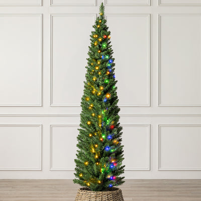 Pre-Lit Aspen Spruce Pencil Christmas Tree