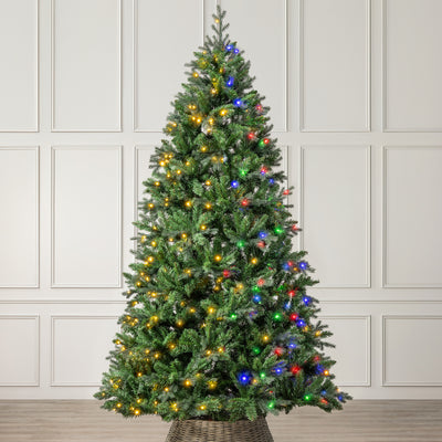 Pre-Lit Fraser Fir Christmas Tree