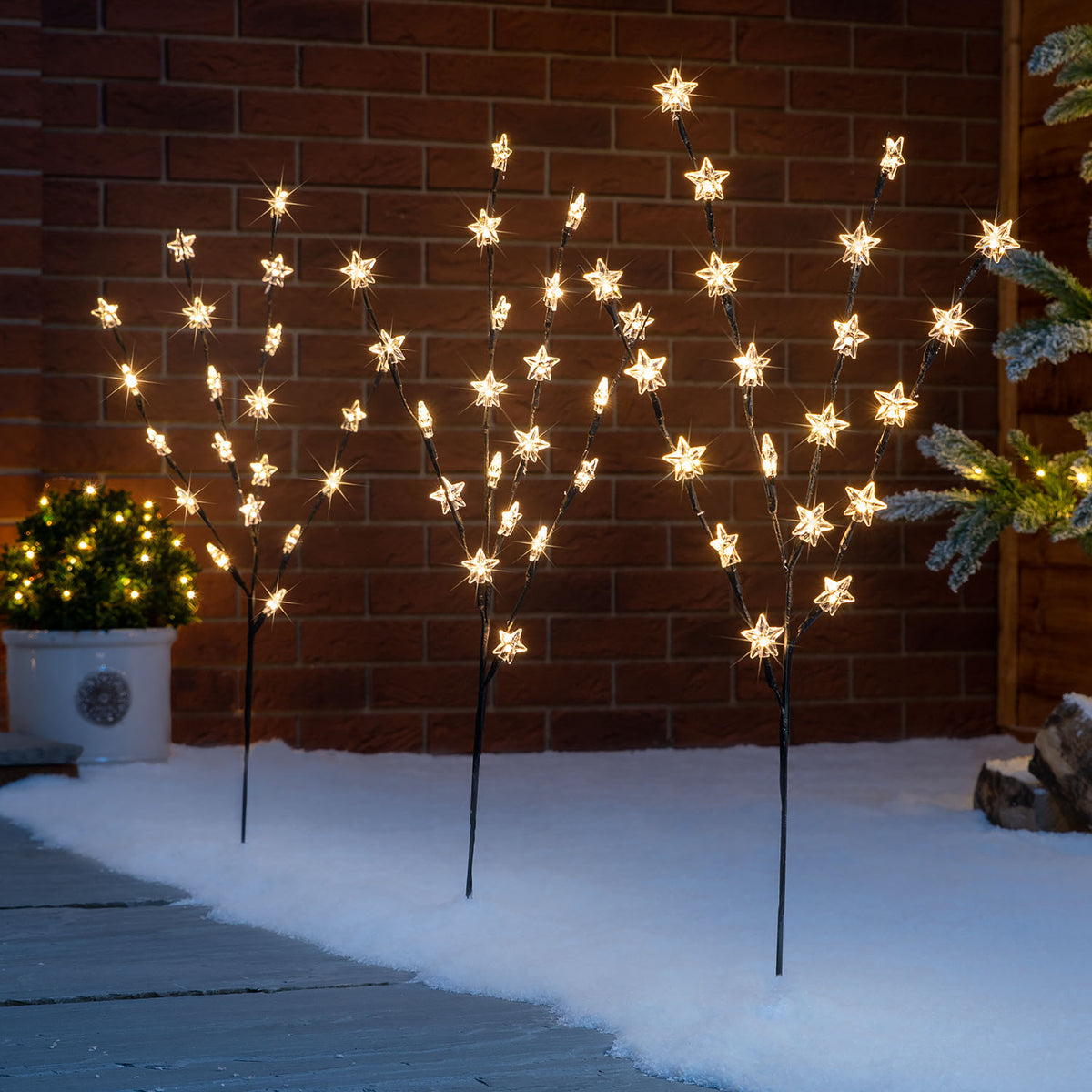 Star Branch Path Lights