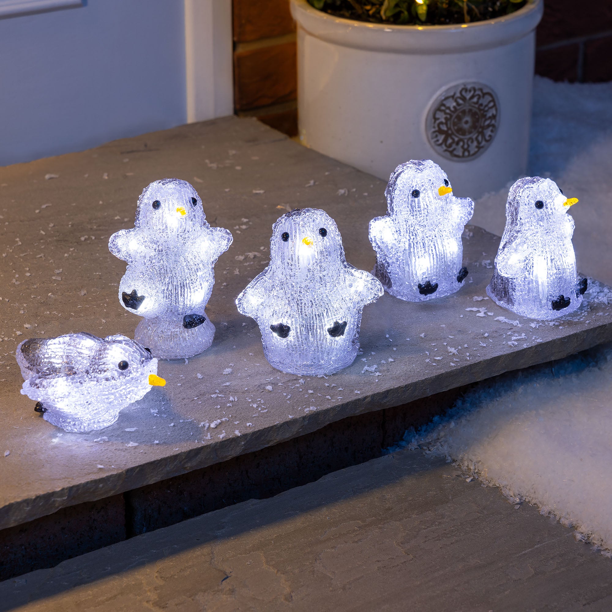 Acrylic Light Up Penguins (Set of 5)